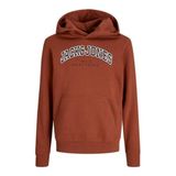 JACK & JONES Erkek Jjecaleb Varsity Sweat Hood Noos Jnr, Yanık Kına, 140
