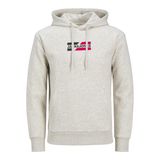 JACK & JONES Erkek Jjecorp Graphic Sweat Hood Noos kapüşonlu kazak