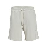 JACK & JONES Erkek JJIRICK JJEVAN SHORTS CJ 977 SN Şort Kahve M