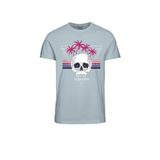 JACK & JONES Erkek Jormindskull Tee Ss bisiklet yaka FST tişört, Soluk Mavi, S