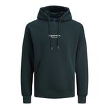 JACK & JONES Erkek Jorvesterbro Sweat Hood Noos Sweatshirt, Magical Forest, M