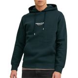 JACK & JONES Erkek Jorvesterbro Sweat Hood Noos Sweatshirt, Magical Forest, S