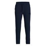 Jack & Jones Erkek Jpst Gordon Pantolon, Lacivert, XL