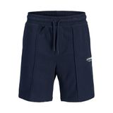 JACK & JONES Erkek Jpstkane Soho Sweat Şort Mid Sn, sky captain, S