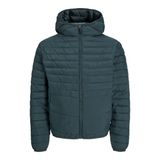 JACK & JONES Erkek kapitone ceket, Magical Forest, XXL