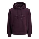 JACK & JONES Erkek kapüşonlu kazak JJESTAR JJ Sweat Hood - Relaxed Fit, Erik Mükemmel, M