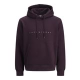 JACK & JONES Erkek kapüşonlu kazak JJESTAR JJ Sweat Hood - Relaxed Fit, Erik Mükemmel, S
