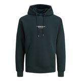 JACK & JONES Erkek kapüşonlu sweatshirt, Magical Forest, L