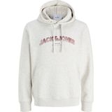 Jack & Jones Erkek Regular Fit Gögüs Baskili Sweatshirt - Avery - 000Beyaz - M