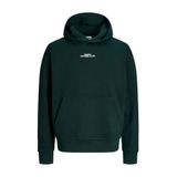 Jack & Jones Erkek Sirt Baskili Loose Fit Sweatshirt - Bay