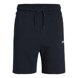 JACK & JONES Erkek Şort Regular Fit Şort, sky captain, S