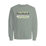 JACK & JONES Erkek Sweatpullover Sweatshirt JCORAY Color Sweat Crew Neck FST, Çöl Adaçayı, S
