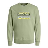 JACK & JONES Erkek Sweatpullover Sweatshirt JCORAY Color Sweat Crew Neck FST, Çöl Adaçayı, XXL