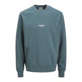 JACK & JONES Erkek Sweatshirt JJESOHO Sweat Crew Neck - Relaxed Fit, fırtına havası., M