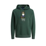 Jack & Jones Erkek Yeşil Kapüşonlu Sweatshirt Jordenımdog 12176722