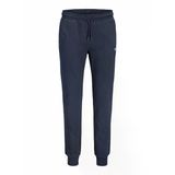 Jack Jones Gordon Archıve Regular Fit Erkek Eşofman Altı 12288641