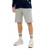 Jack & Jones Jack Jones Gordon Archive Regular Fit Erkek Şort 12288638