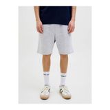 Jack & Jones Jack Jones Gordon Bradley Regular Fit Erkek Şort 12249285