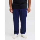 Jack & Jones Jack Jones Jpstkane Norrebro Sweat Pants Pls Erkek Lacivert Eşofman Altı 12287504-04 - XS