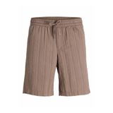 Jack & Jones Jack Jones Stjaiden Tyson Relax Fit Erkek Şort 12289531