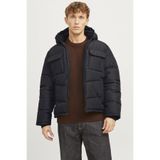 Jack & Jones Jack&Jones Build Erkek Mont 12256858 BLACK