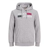 Jack & Jones Jack&jones Erkek Ecorp Logo Sweat Hood Noos 12152840 Light Grey Melange