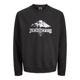 JACK & JONES Jcoflare Front Print Sweat Crew Neck Jcoflare Front Print Sweat Crew Neck Erkek