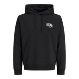 Jack & Jones JJAERO Kapüşonlu Sweatshirt, M, 12298491, Black Detail:Small print, erkek