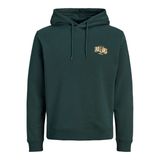 Jack & Jones JJAERO Kapüşonlu Sweatshirt, XXL, 12298491, Scarab Detail:Small print, erkek