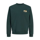 Jack & Jones JJAERO SWEAT CREW NECK Sweatshirt, XXL, 12298492, Scarab Detail:Small print, erkek