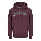 JACK & JONES JJECALEB VARSITY SWEAT HOOD NOOS Erkek Sweatshirt, Vineyard Wine, M