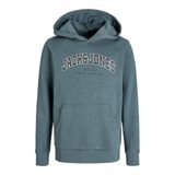 JACK & JONES Jjecaleb Varsity Sweat Hood Noos Jnr Jjecaleb Varsity Sweat Hood Noos Jnr Erkek