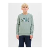 Jack & Jones Jjgeplas Erkek Çocuk Sweatshirt, Yeşil, 152 Beden