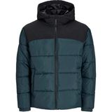 Jack & Jones Jjmoon Hood Puffer Erkek Mont 12256882 - Renkli