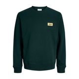 Jack & Jones JJRUSH SWEAT CREW NECK SN Sweatshirt, XL, 12298426, Scarab, erkek