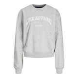 JACK & JONES JJXX JXRILEY REG LS CREW SWT Sweatshirt Kadın
