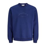 JACK & JONES Jorbleecker Branding Sweat Crew Bf Jorbleecker Branding Sweat Crew Bf Erkek