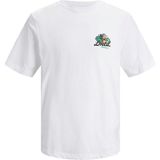 Jack & Jones Jorcabana Graphic Tee Ss Crew Neck Ln Erkek T-Shirt - Beyaz
