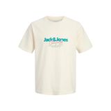 Jack & Jones JORCASSIS Erkek Tişört Bisiklet Yaka Kısa Kollu Rahat Günlük