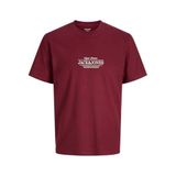 JACK & JONES Jorcassis Minimal Tee Ss Crew Neck T-shirt, S, 12295049, Cabernet, Erkek