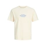 Jack & Jones JORCASSIS Minimal Tişört Bisiklet Yaka Kısa Kollu Rahat Günlük, S, 12295049, krem, Erkek