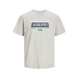 Jack & Jones Jorcobin Tee Ss Moonbeam Bisiklet Yaka Erkek T-shirt