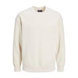 Jack & Jones Jorcopenhagen Crew Neck Noos Erkek Sweatshirt
