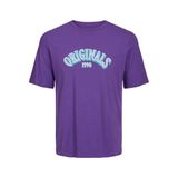 Jack & Jones Joreuphori Tee Ss Crew Neck Tg Derin Lavanta Erkek T-shirt