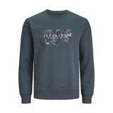 Jack & Jones Jorsilverlake Sweat Crew Neck LN Koyu Yeşil Erkek Sweatshirt
