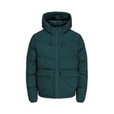 Jack & Jones Jorvesterbro Erkek Yeşil Mont 12238849-Green - 2XL - Forest