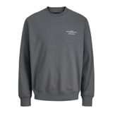 JACK & JONES JPRBLACHAD BRANDING SWEAT CREW NECK LN Sweatshirt Volcanic Ash, M, 12261386, Volcanic Ash, erkek