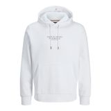 JACK & JONES JPRBLUARCHIE SWEAT HOOD NOOS Sweatshirt Erkek