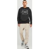 Jack & Jones Jpstgordon Bradley Erkek Eşofman Altı