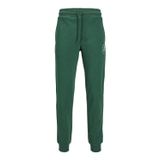 Jack & Jones Jpstgordon Jjswift Sweat Pants Dark Green Erkek Pantolon